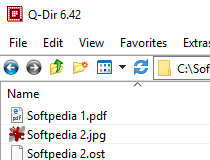download the last version for windows Q-Dir 11.32