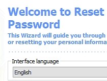 windows password reset key