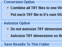 convert tiff to word document
