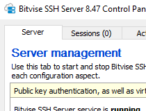 Bitvise SSH Client 9.31 instal the new version for android