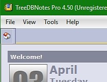 how to turn on the ruler in a note in treedbnotes